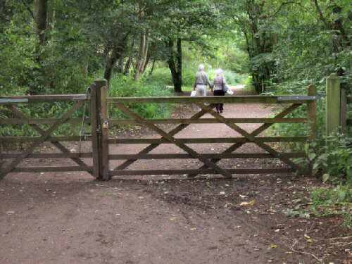 Sett Valley Trail