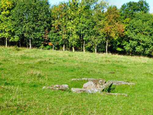 Navio remains, Brough