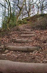 Hermit's Wood steps