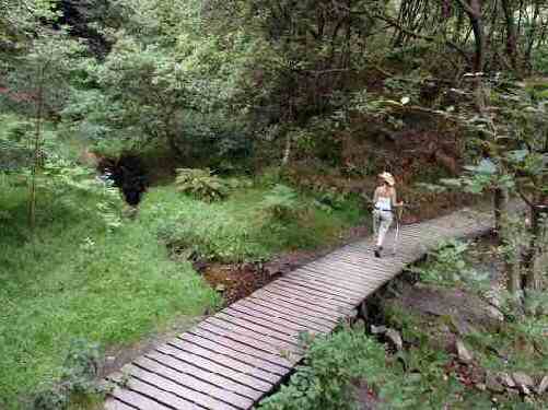 Fernilee Reservoir Walk