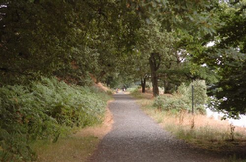 Fernilee Railway Trail