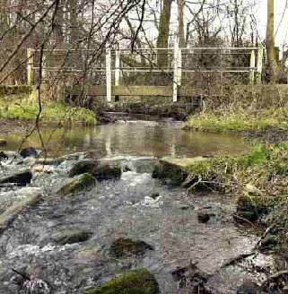 Tricket Brook, Wingerworth