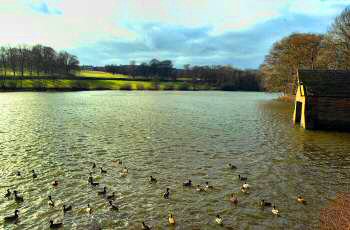 The Great Pond of Stubbing, Wingerworth