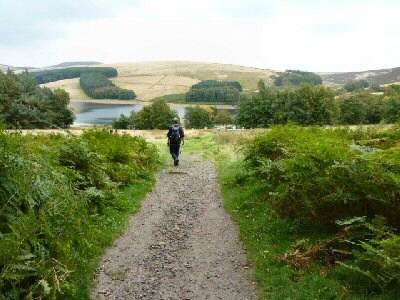 Errwood Reservoir View, Goyt Valley