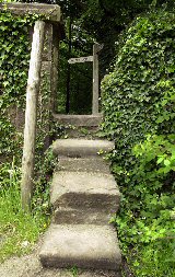 Goyt Way Steps 