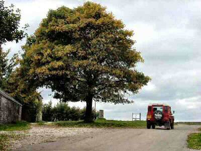 Top Farm Road, Sheldon