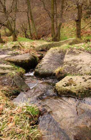 Hood Brook Stepping Stones