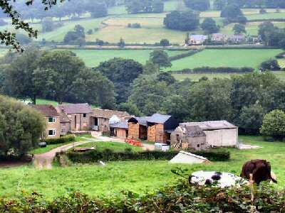 Farm by Thornhill Trail
