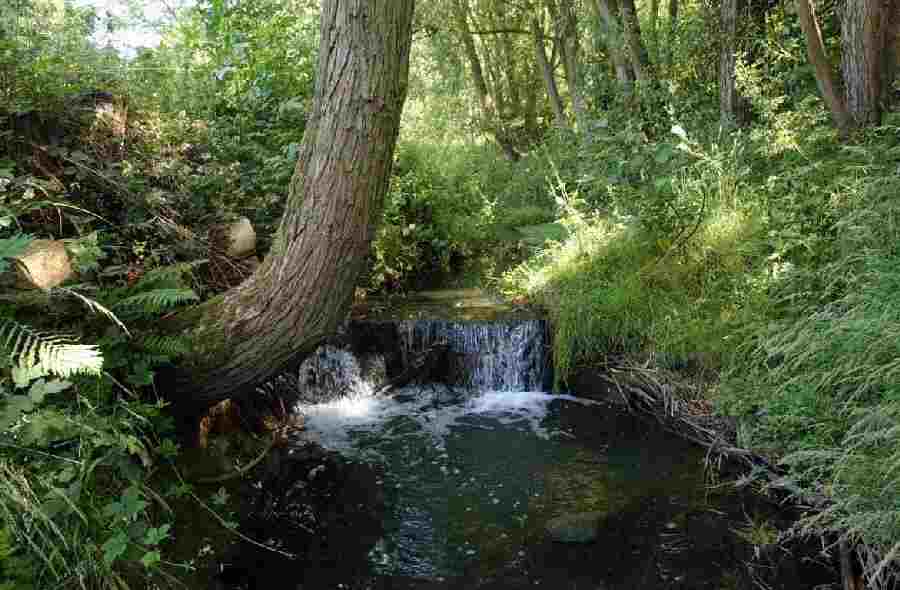 Oakerthorpe Brook, Alfreton Park Walk