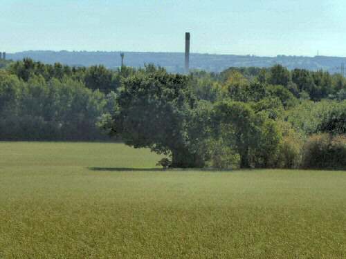 Toyota Chimney seen in the distance