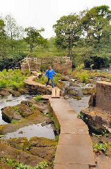 Stepping Stones, Bamford