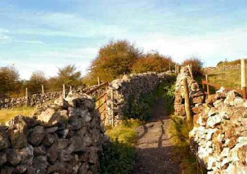 Bonsall Heights of Abraham Walk