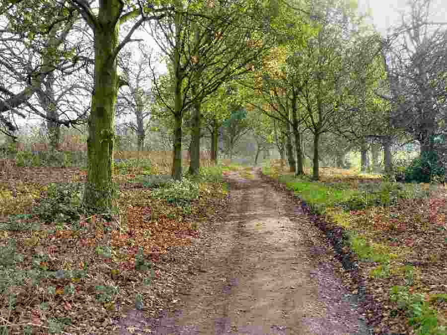 Stanton-by-Bridge Walk
