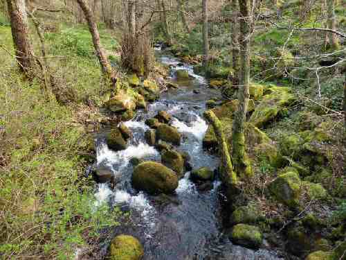 Padley Gorge