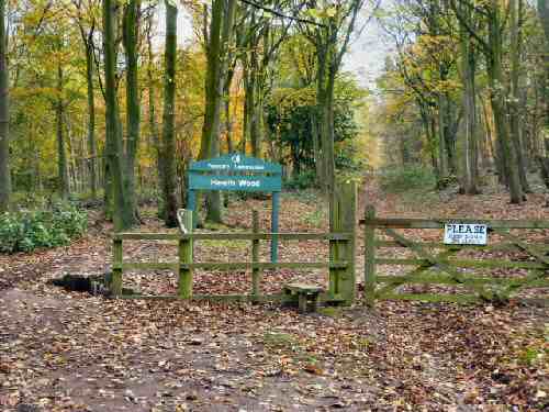 Heath Wood, Formarke