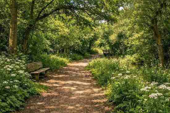 Poolsbrook Country Park, Staveley