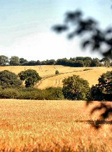 Tibshelf Countryside